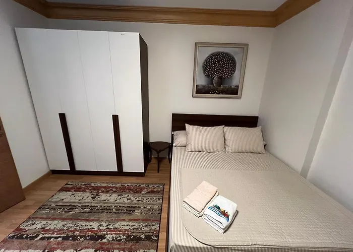 Luxury Flat Near City Stars Mallشقة غاية الفخامة جانب سيتي ستارز مول