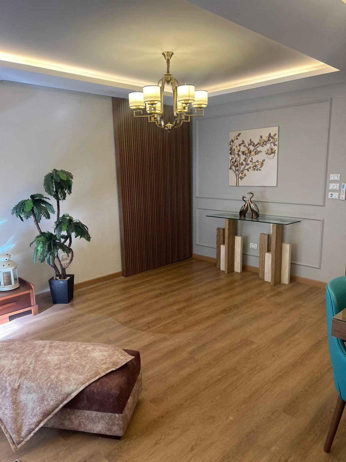 Luxury Flat Near Stars Mallشقة غاية الفخامة جانب سيتي ستارز مول * Cairo