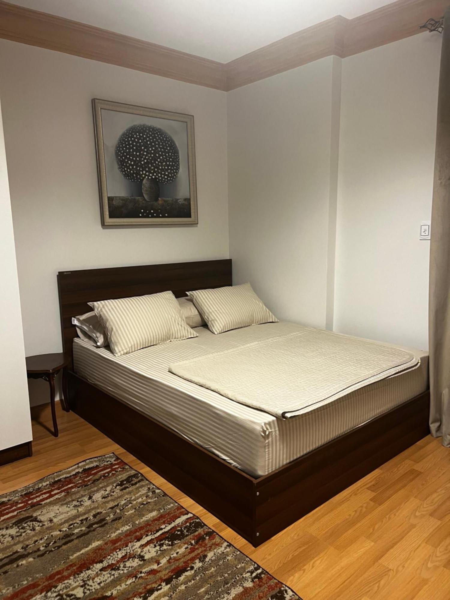 Luxury Flat Near Stars Mallشقة غاية الفخامة جانب سيتي ستارز مول